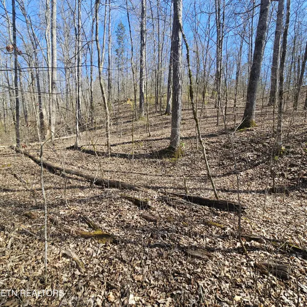 0 Lick Creek Rd, Tellico Plains, TN 37385