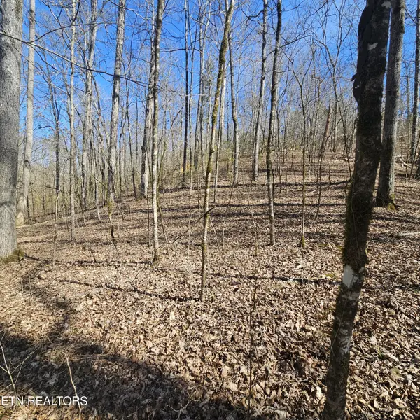 0 Lick Creek Rd, Tellico Plains, TN 37385