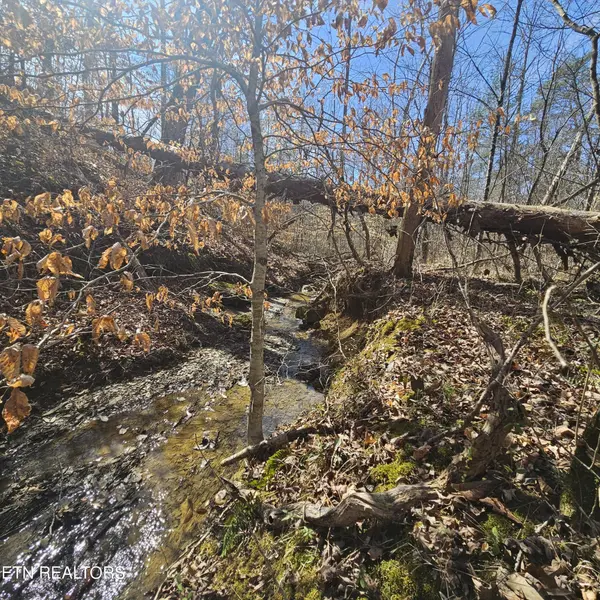 0 Lick Creek Rd, Tellico Plains, TN 37385