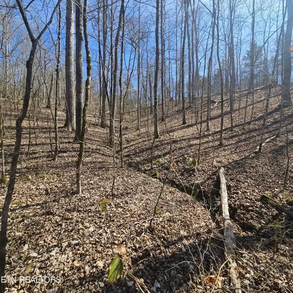 0 Lick Creek Rd, Tellico Plains, TN 37385
