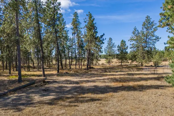102C E Cameron Rd, Spangle, WA 99031