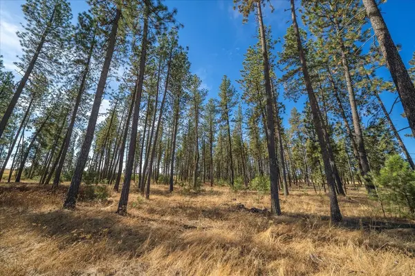 102D E Cameron Rd, Spangle, WA 99031
