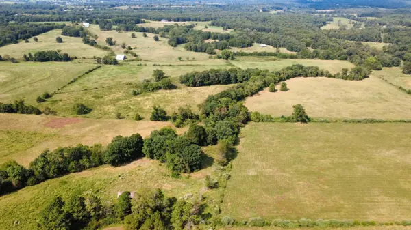 Tbd Co Rd 4040, Rolla, MO 65401