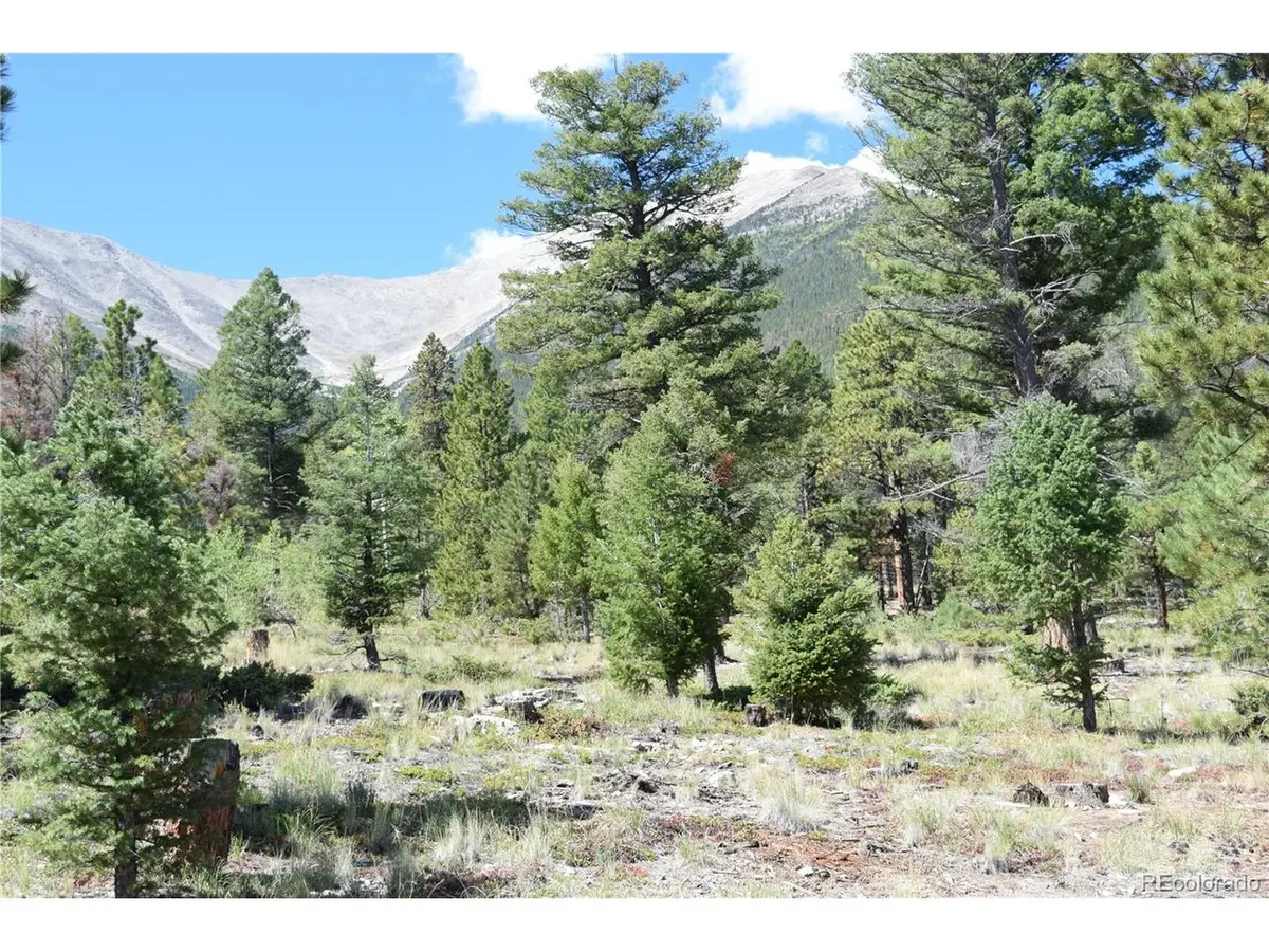 17225 County Road 327, Buena Vista, CO 81211