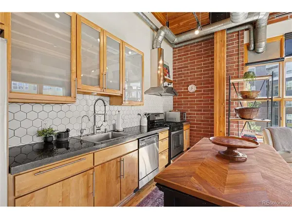 2955 Inca #2P, Denver, CO 80202