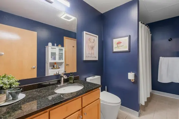 521 S 7th Street #223, Minneapolis, MN 55415