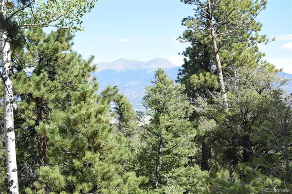17225 County Road 327, Buena Vista, CO 81211
