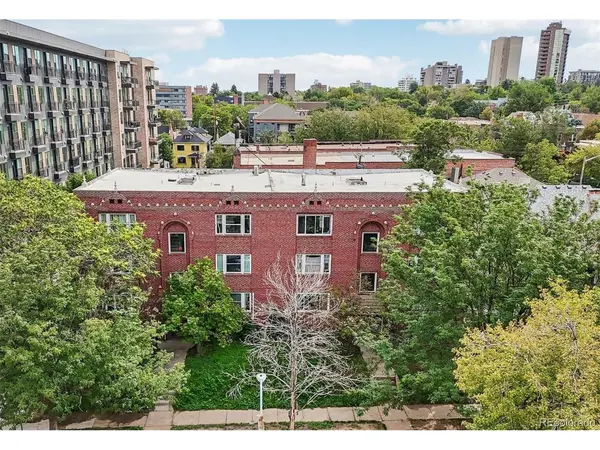 1416 N Downing #3, Denver, CO 80218