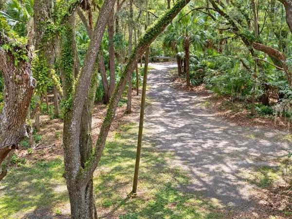 302 NE BAY AVE, Micanopy, FL 32667