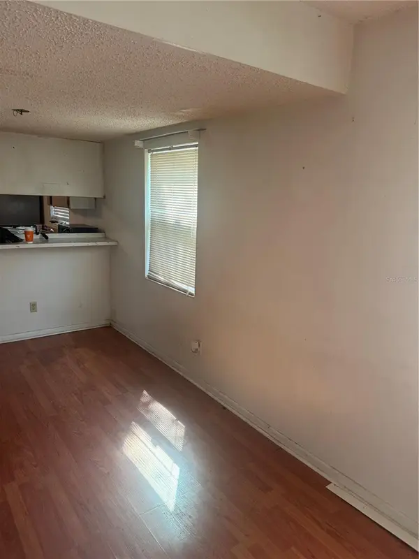 10219 N NINEVAH RD, Tampa, FL 33617