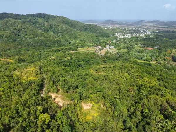 982 FINCAS DE NARANJO, Fajardo, PR 00738