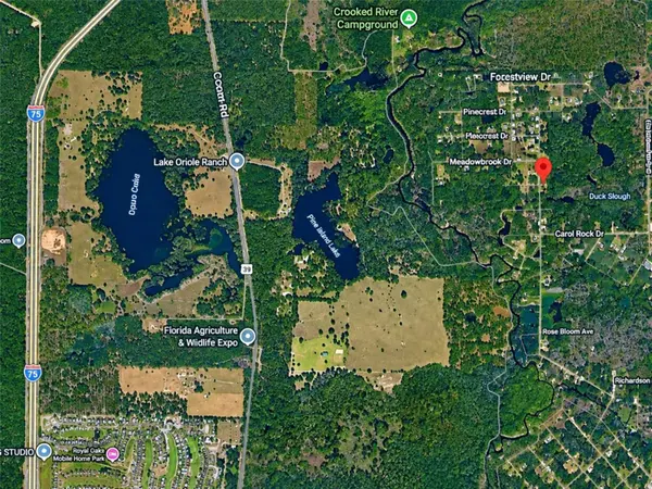 SHASTA ST, Webster, FL 33597