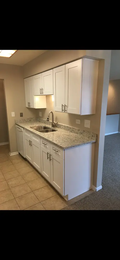 2612 PIRATES COVE #2, Schaumburg, IL 60173