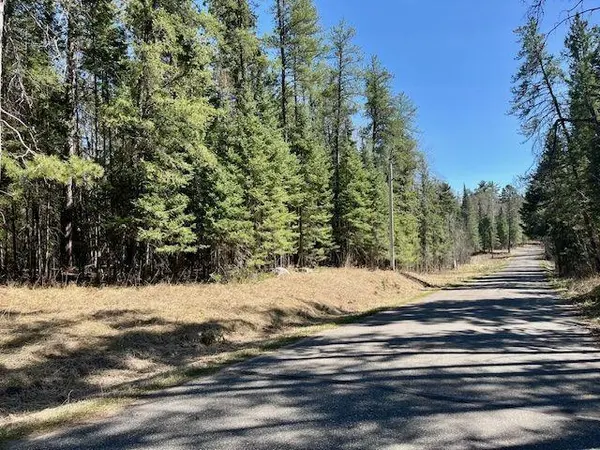TBD N Courage Dr (Lot16), Lake George, MN 56458