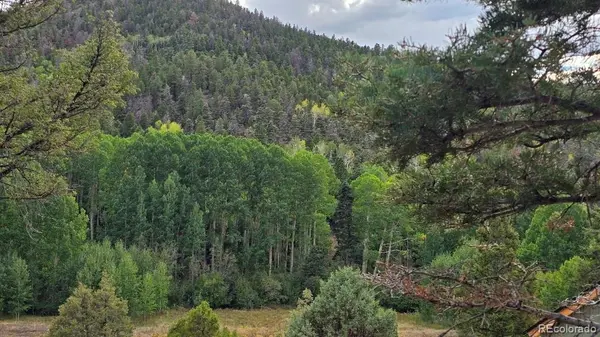 5520 Bateman RD, Fort Garland, CO 81133