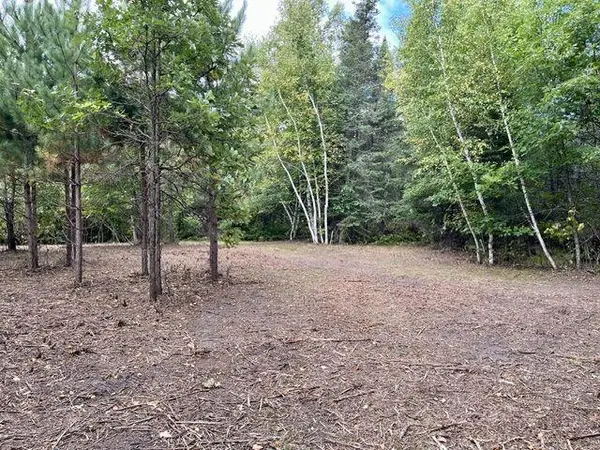 Lot 14 New Melahn Dr (Lot14), Lake George, MN 56458