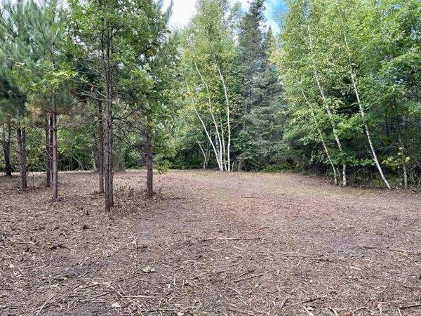 Lot 14 New Melahn Dr (Lot14), Lake George, MN 56458
