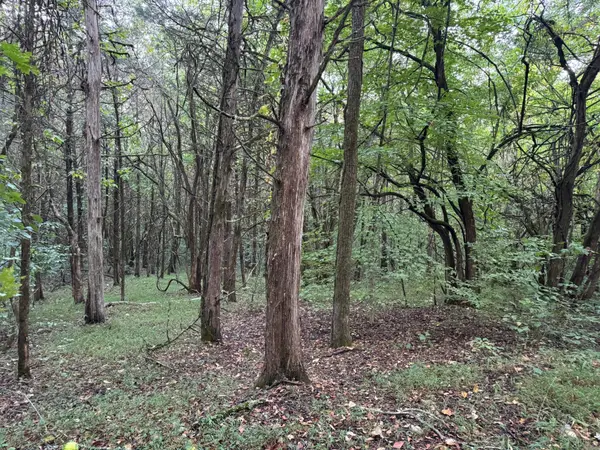 0 Horseshoe Bend Ln, Elmwood, TN 38560