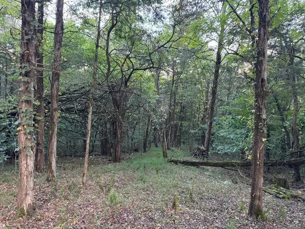 0 Horseshoe Bend Ln, Elmwood, TN 38560