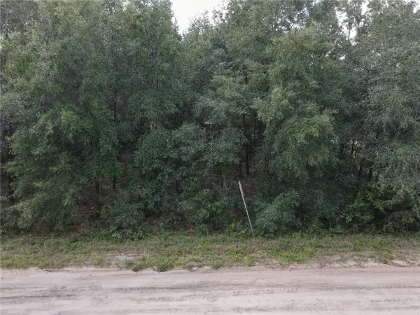 GUNNER AVE AVE, Interlachen, FL 32148