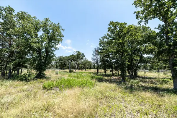 Tract 3 Edgewood Trail RD, Paige, TX 78659