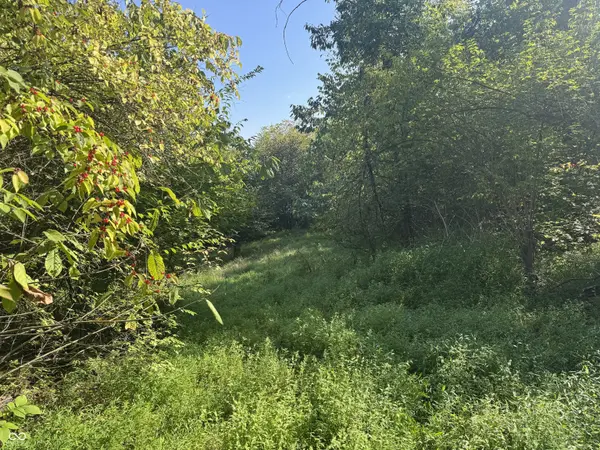 15839 State Road 156, Patriot, IN 47038