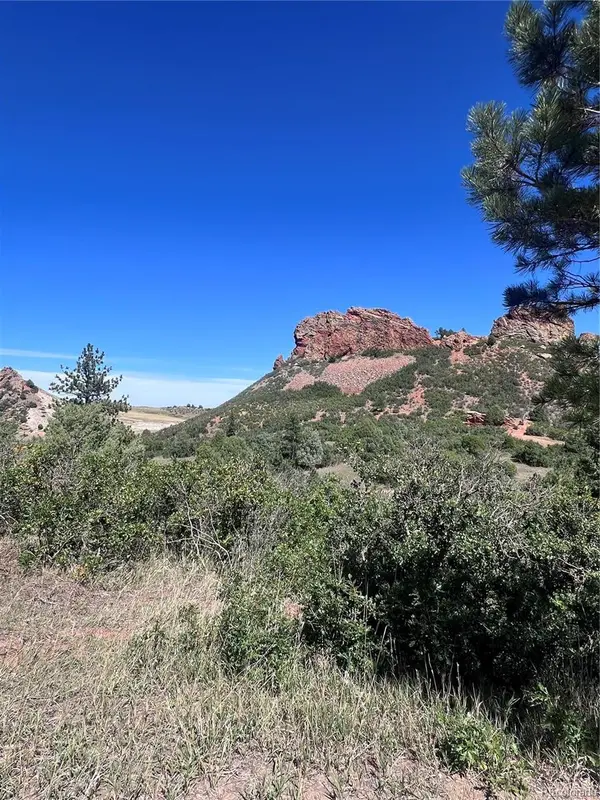 6031 Country Club DR, Larkspur, CO 80118