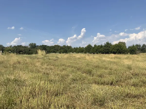 000 Rose Bush DR, Marshfield, MO 65706