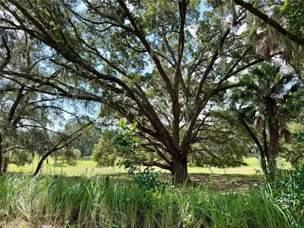 11324 EM EN EL GROVE RD, Leesburg, FL 34788