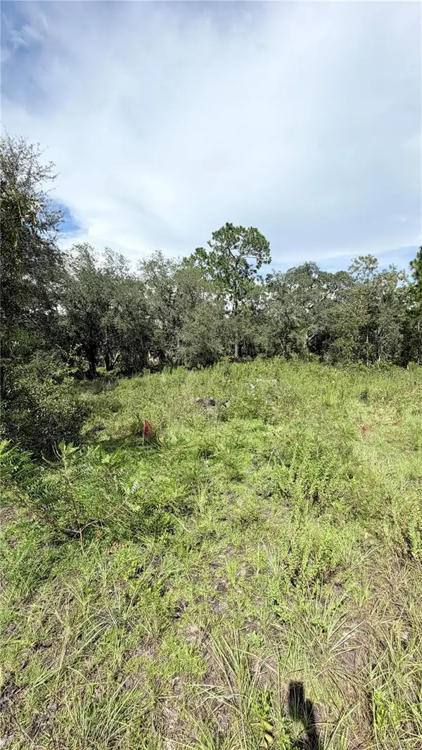 NE 65TH ST, Williston, FL 32696