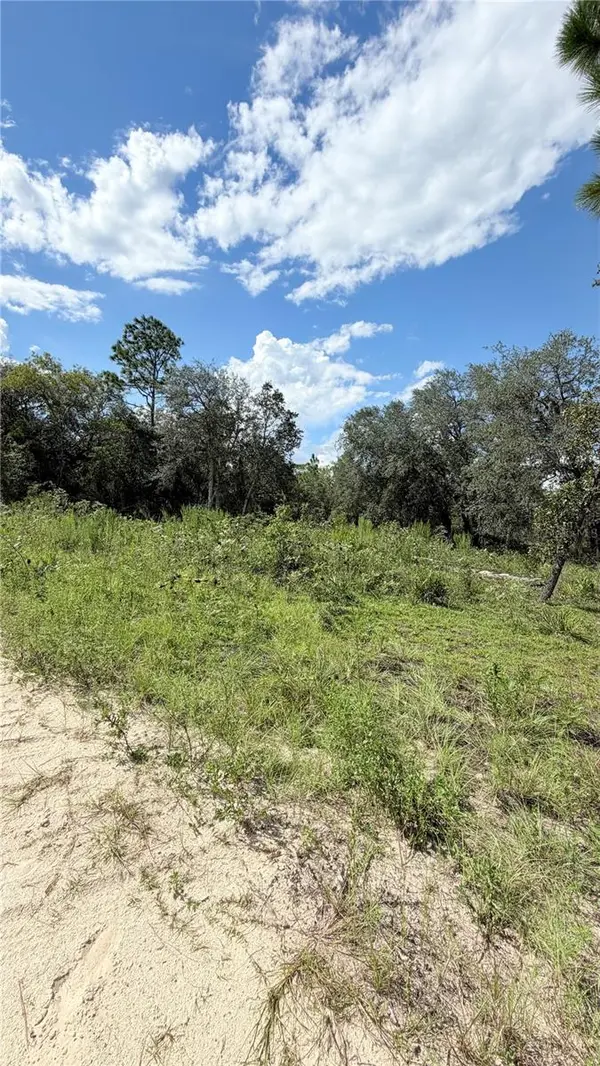 NE 65TH ST, Williston, FL 32696