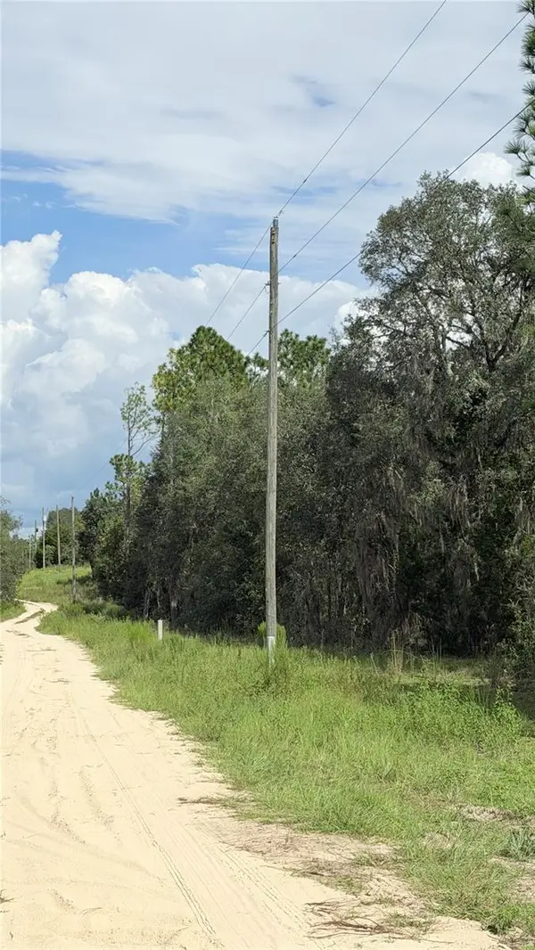 NE 65TH ST, Williston, FL 32696
