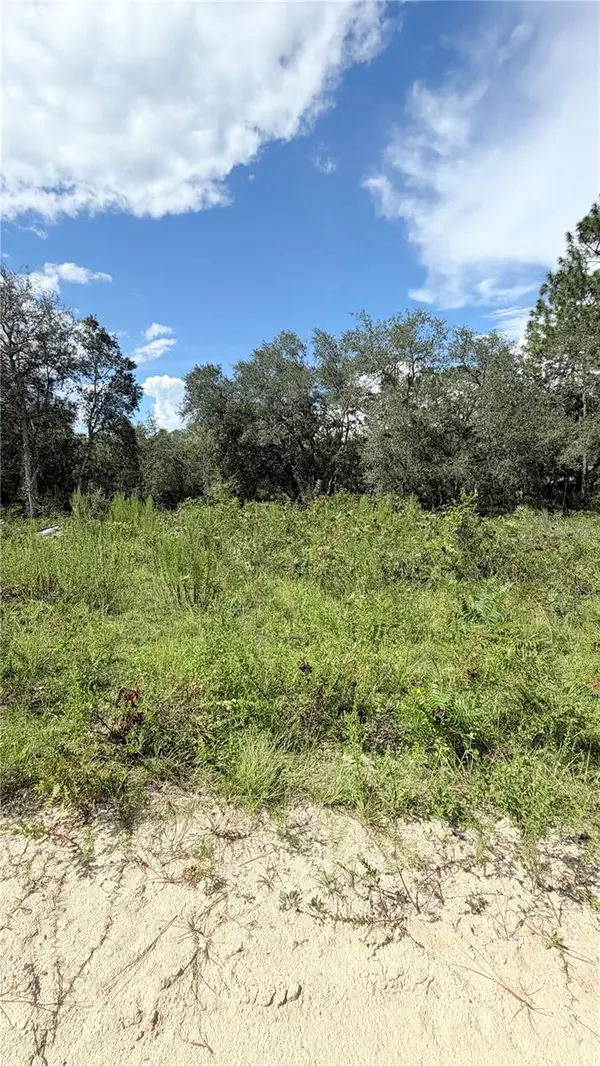 NE 65TH ST, Williston, FL 32696