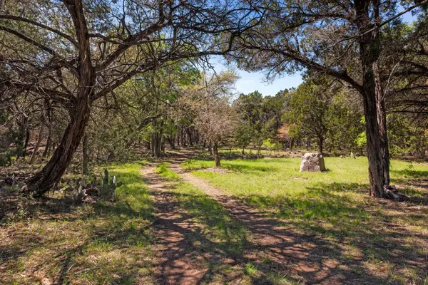 1725 Cripple Creek STA, Dripping Springs, TX 78620
