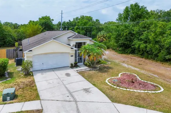 10240 CHARLESTON CORNER RD, Tampa, FL 33635