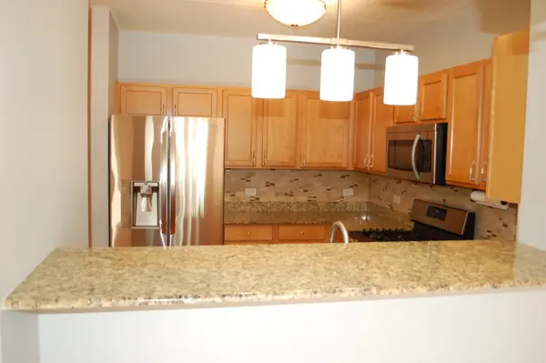 410 W Mahogany CT #503, Palatine, IL 60067