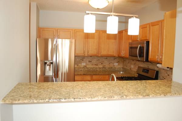 410 W Mahogany CT #503, Palatine, IL 60067