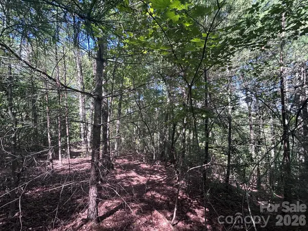 256 Beacon Ridge DR #26-12, Nebo, NC 28761
