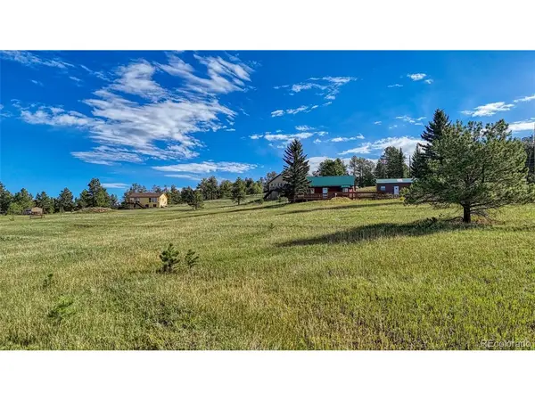 33 Cameron, Florissant, CO 80816