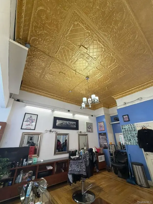 104 Saratoga Avenue, Brooklyn, NY 11233