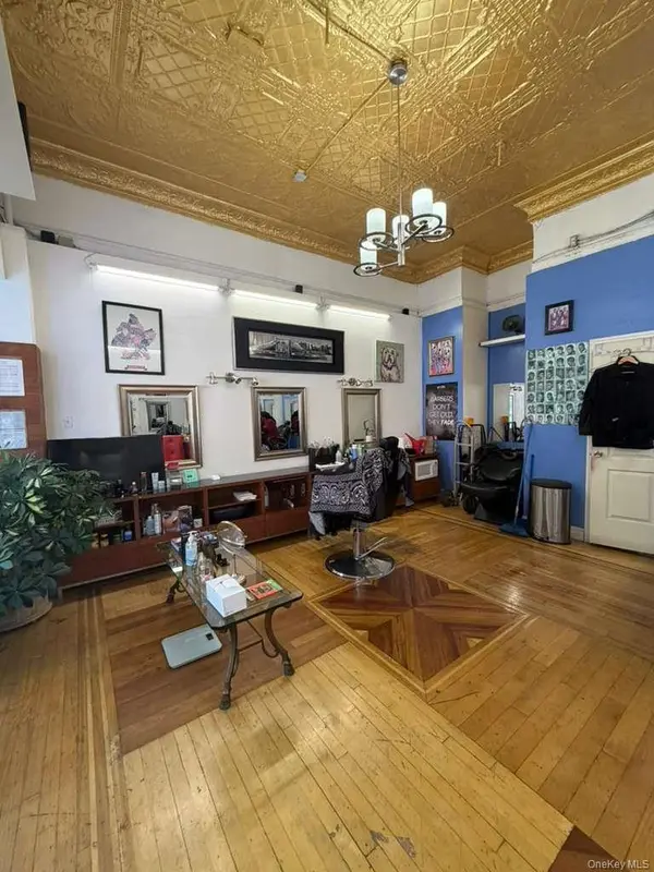 104 Saratoga Avenue, Brooklyn, NY 11233