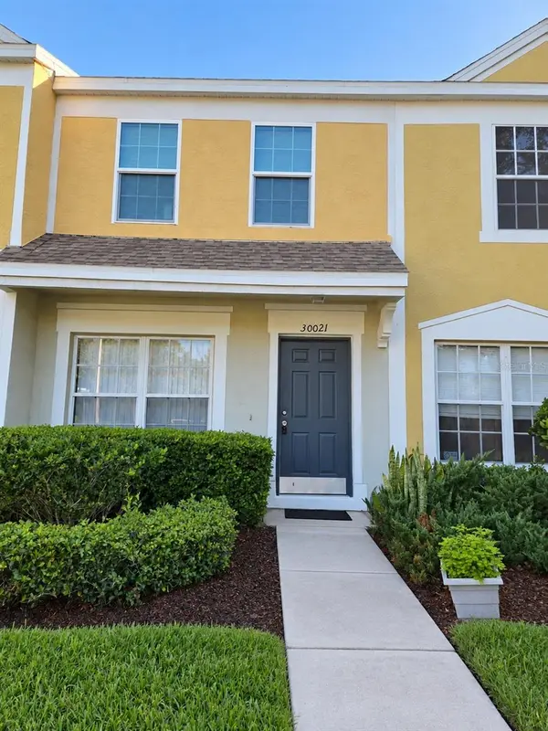 30021 PLAYA DEL REY LN, Wesley Chapel, FL 33543