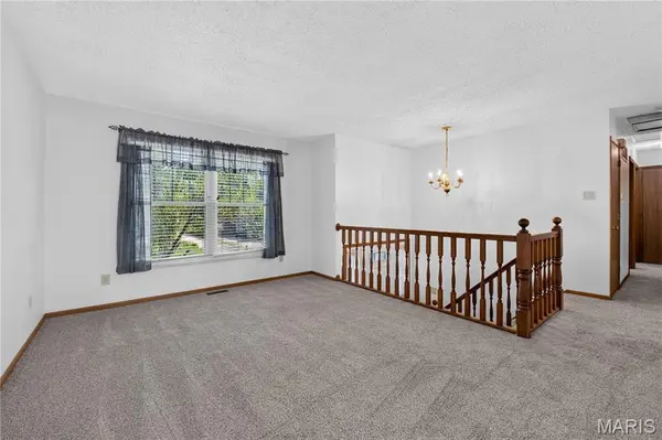 828 N Forest AVE, Webster Groves, MO 63119