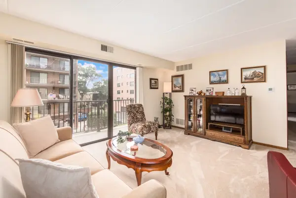 1441 E Thacker ST #304, Des Plaines, IL 60016
