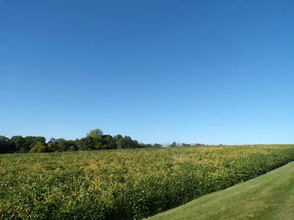 W8028 320th AVE, Hager City, WI 54014