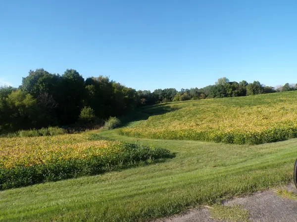 W8028 320th AVE, Hager City, WI 54014