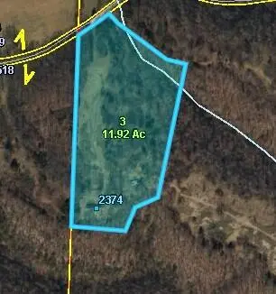 +2374 Upper Mill Creek RD, Noel, MO 64854
