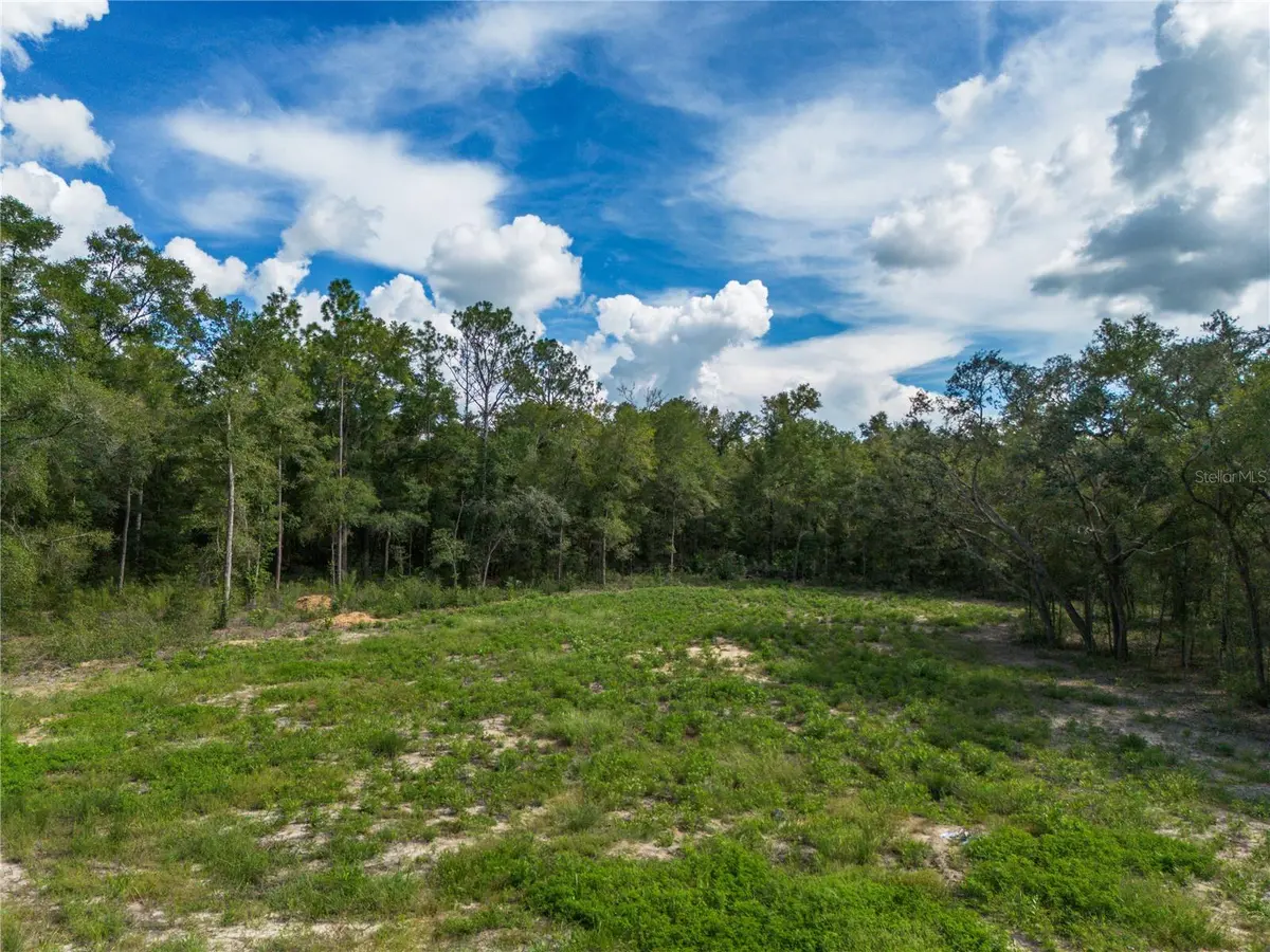 TBD NE 82ND PL, Bronson, FL 32621