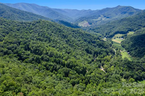 OFF Little East Fork RD #L-1, Canton, NC 28716