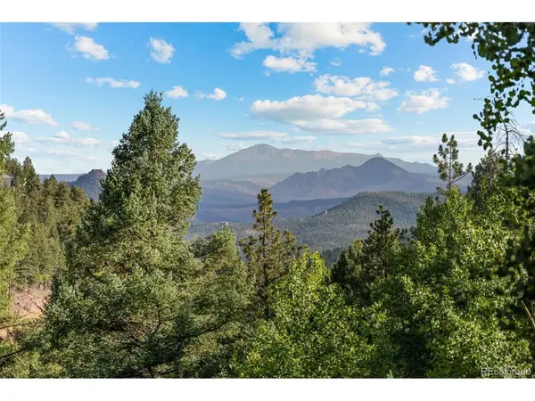 13328 Elsie, Conifer, CO 80433